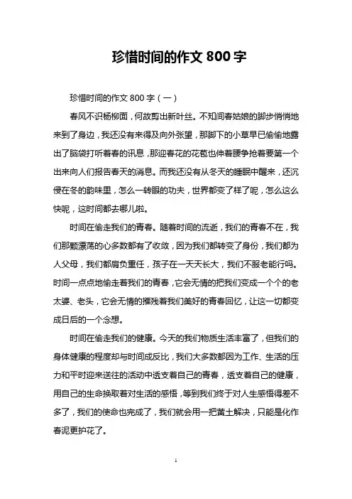 珍惜时间的作文800字 2