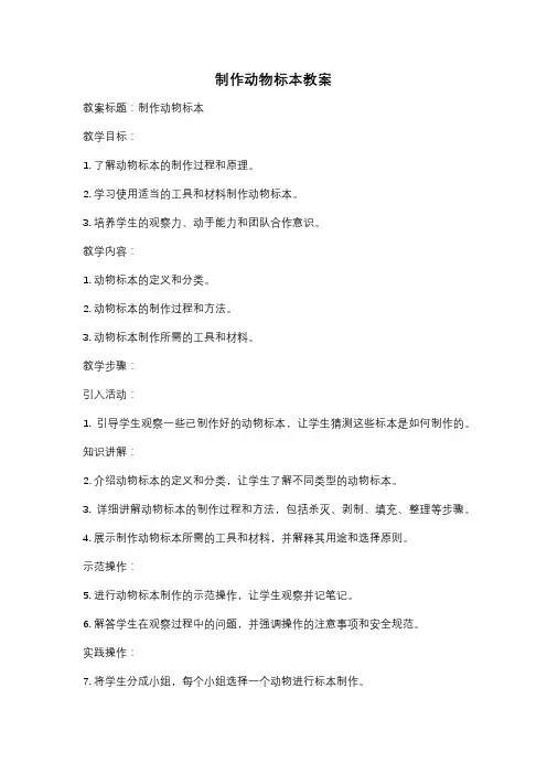 制作动物标本教案