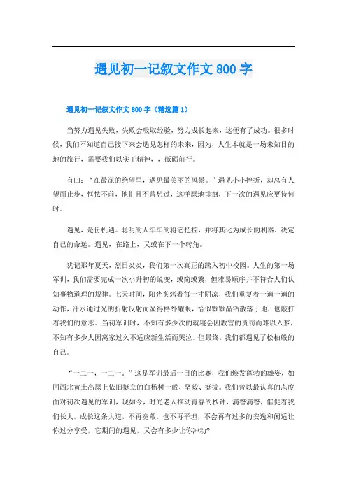 遇见初一记叙文作文800字
