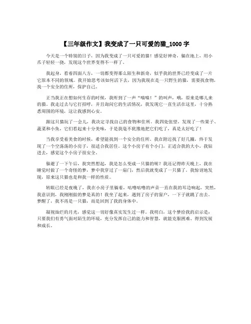【三年级作文】我变成了一只可爱的猫_1000字