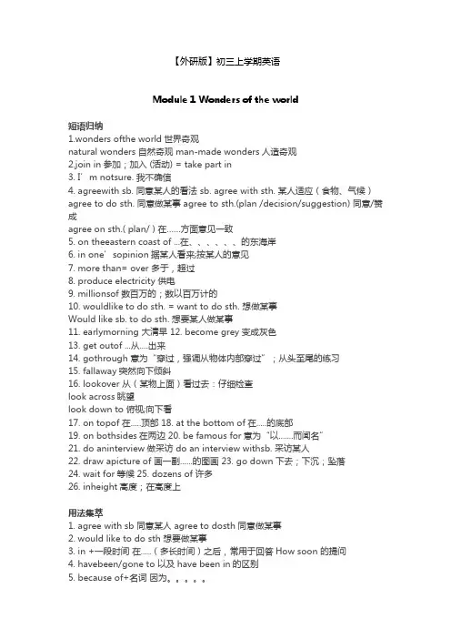 【外研版】九年级英语上册[单词短语句型]全汇总