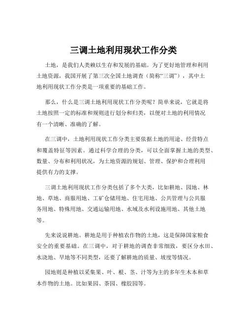 三调土地利用现状工作分类