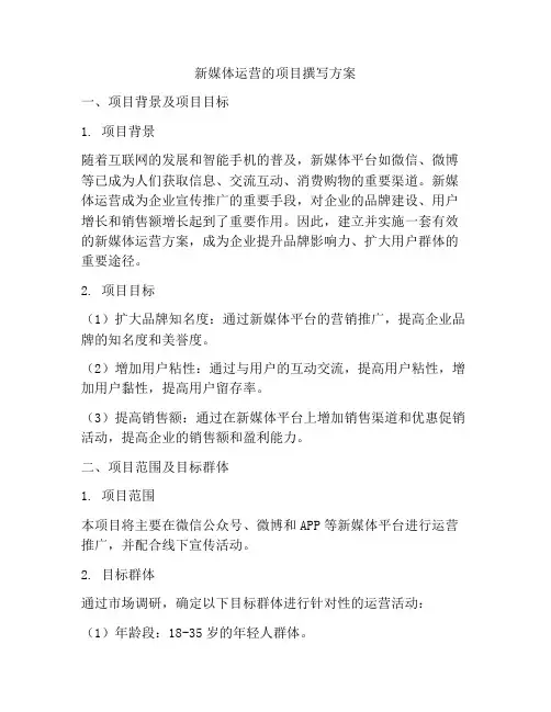 新媒体运营的项目撰写方案