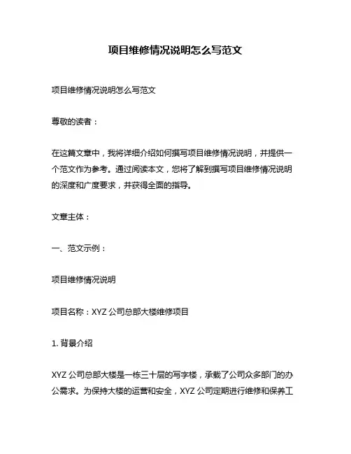 项目维修情况说明怎么写范文