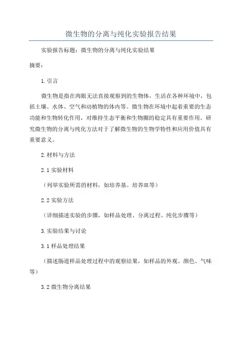 微生物的分离与纯化实验报告结果