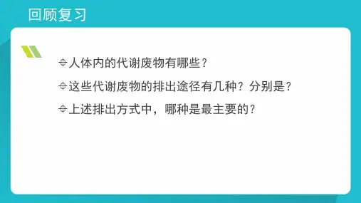北师大版七年级下册生物第11章 第11章 人体代谢废物的排出2节尿的形成与排出(共13张PPT)