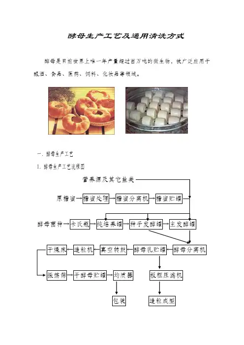 酵母生产工艺及通用清洗方式