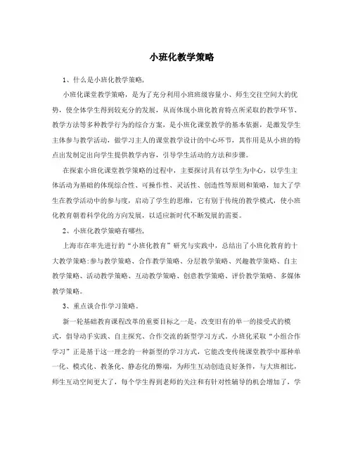 小班化教学策略