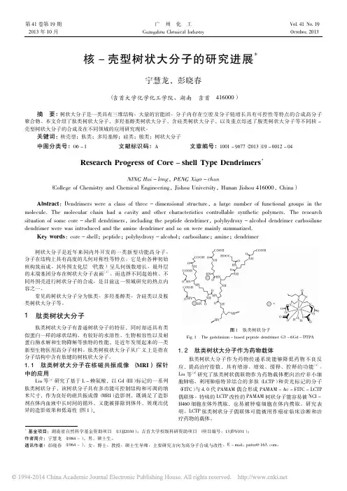 核_壳型树状大分子的研究进展_宁慧龙