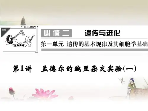 高三一轮复习-基因的分离定律-PPT