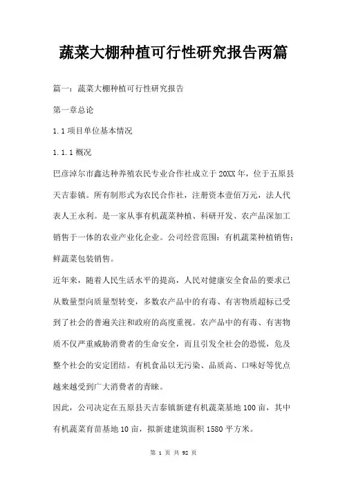 蔬菜大棚种植可行性研究报告两篇