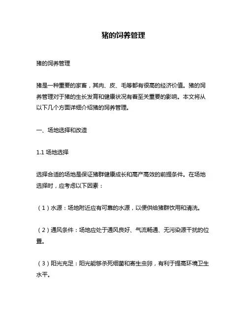 猪的饲养管理