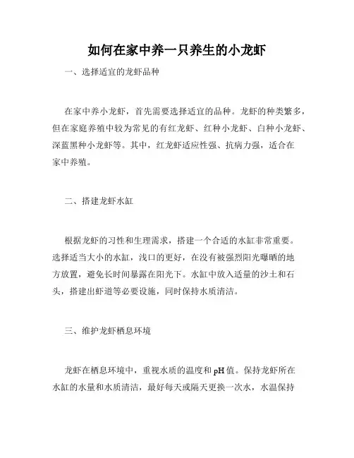 如何在家中养一只养生的小龙虾