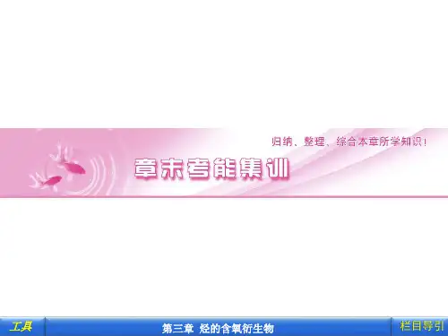 烃的衍生物复习