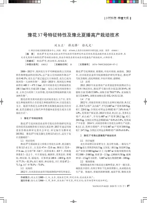 豫花37号特征特性及豫北夏播高产栽培技术