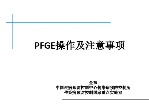 科室PFGE分析