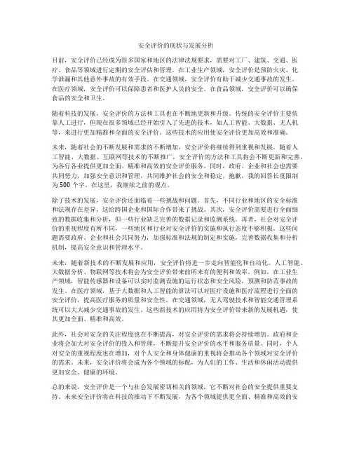 安全评价的现状与发展分析