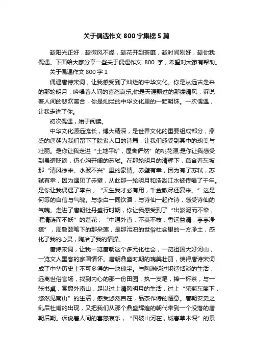 关于偶遇作文800字集锦5篇