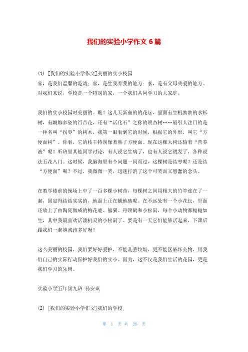 我们的实验小学作文6篇