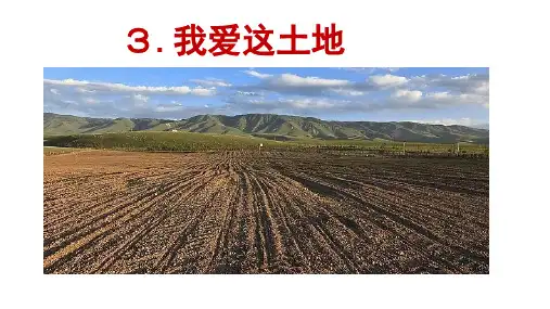 语文九年级上册第3课《我爱这土地》课件