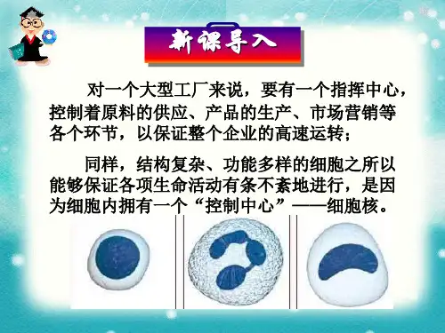 人教版生物必修一3.2《细胞核——系统的控制中心》教学课件PPT