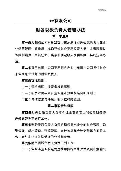 财务负责人任命与委派管理办法