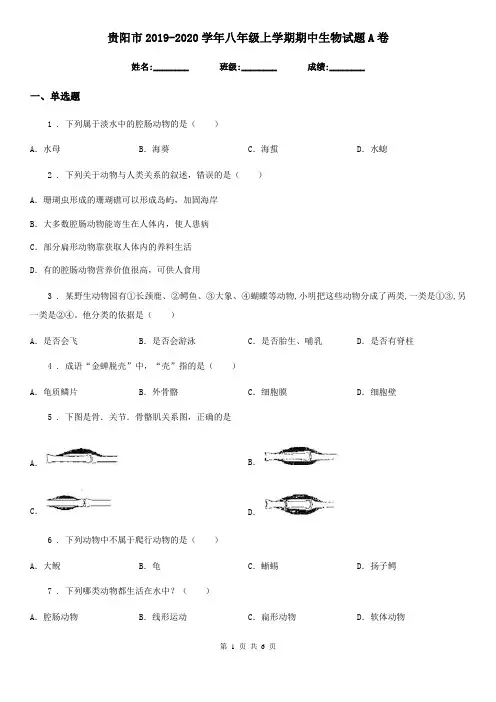 贵阳市2019-2020学年八年级上学期期中生物试题A卷