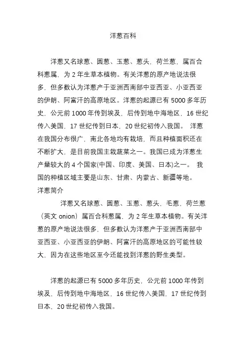 洋葱百科