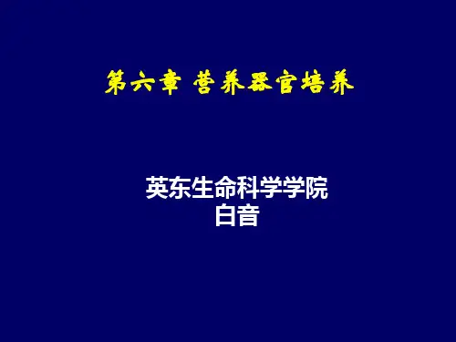 第六章  营养器官培养