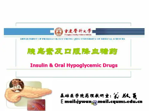 降血糖药大全