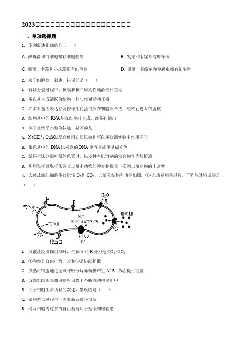 2023年河北高考生物试卷(新高考)(原卷版)