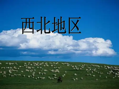 中国的西北地区(自然地理特征)