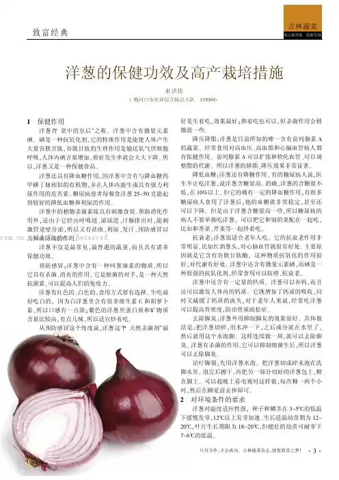 洋葱的保健功效及高产栽培技术