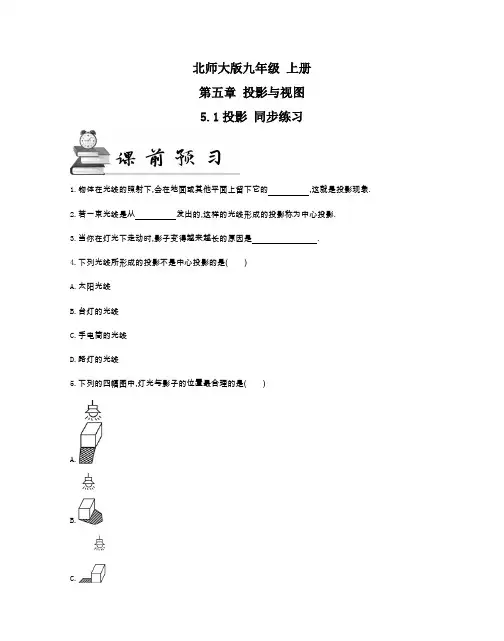 北师大版数学九年级 上册 第五章 5.1投影 同步练习(及答案)