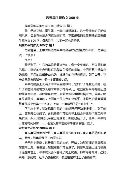 观察牵牛花作文300字