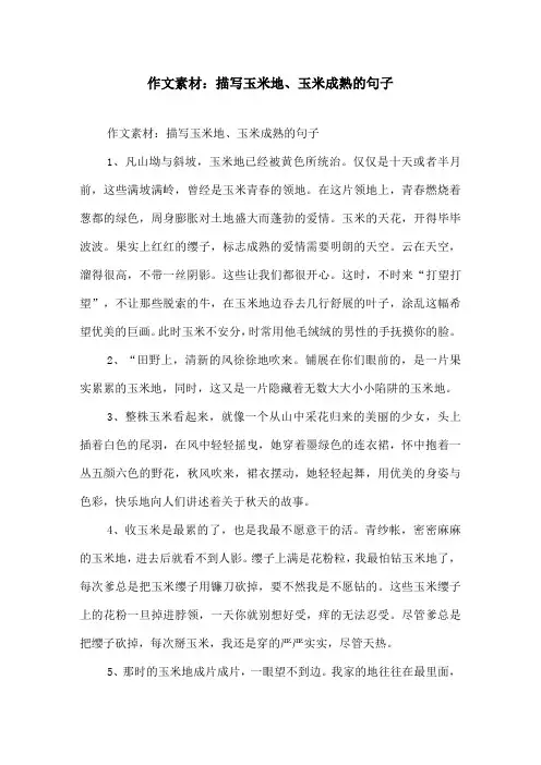 作文素材描写玉米地、玉米成熟的句子