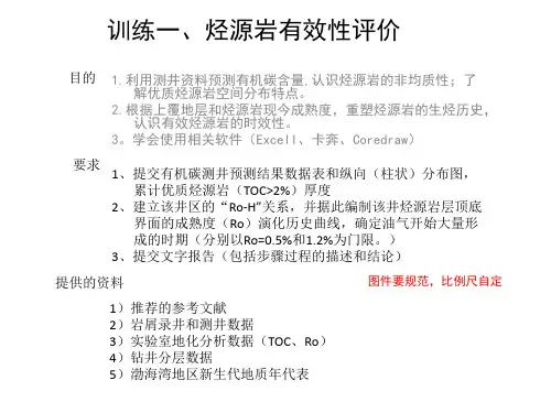 烃源岩有效性评价