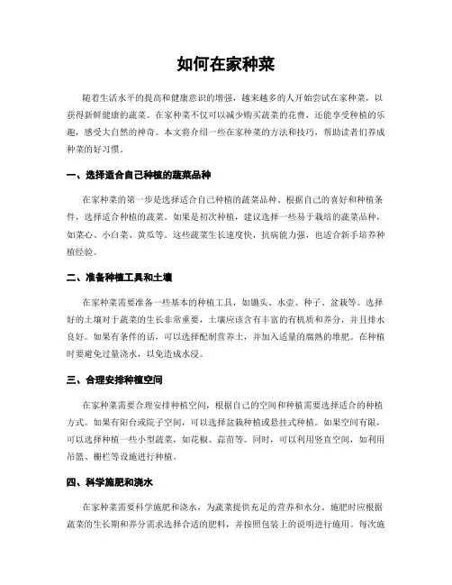 如何在家种菜