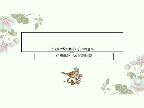 小企业贷款方面的知识-文档资料