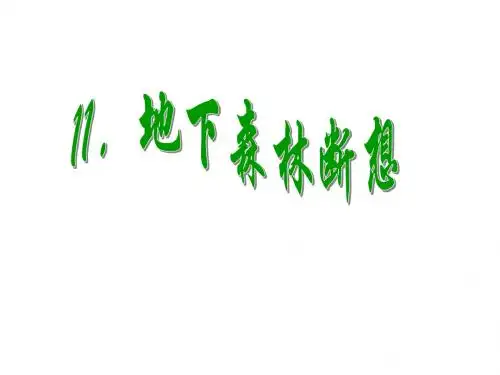 最新 公开课课件 人教版九年级语文下册：第11课《地下森林断想》ppt课件