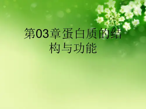 第03章蛋白质的结构与功能优秀课件