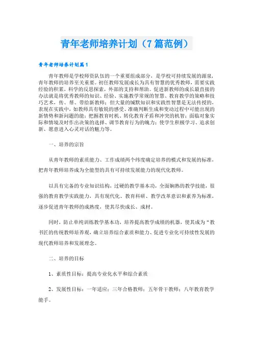青年老师培养计划(7篇范例)