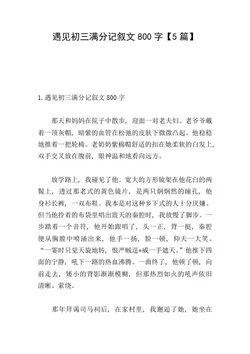 遇见初三满分记叙文800字【5篇】