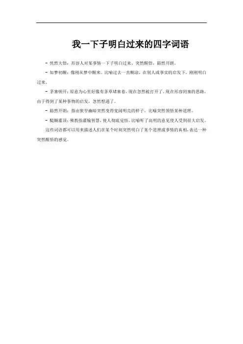我一下子明白过来的四字词语