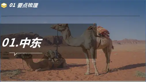 中东 欧洲西部复习 课件 人教版