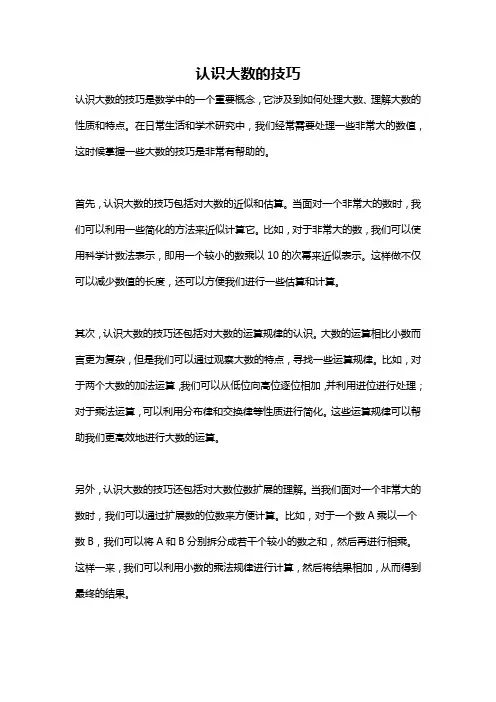 认识大数的技巧