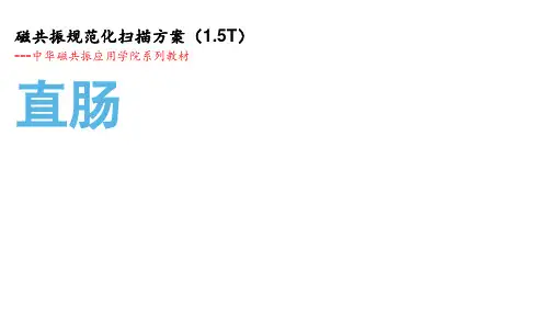 04.1.5T直肠规范化扫描方案