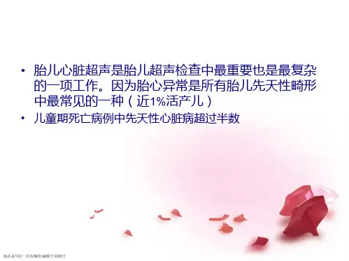 胎儿心脏检查常见切面图