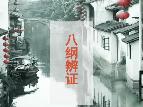 中医八钢辩证演示课件