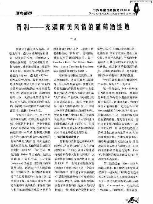 智利——充满南美风情的葡萄酒胜地